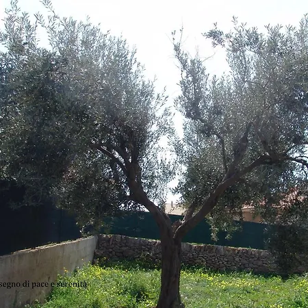 Casa vacanze Carolina